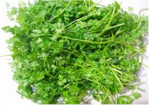 chervil-benefits
