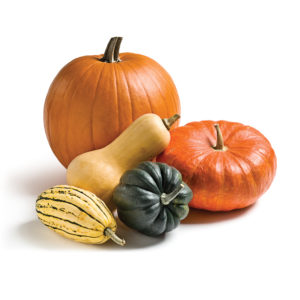 pumkin-types