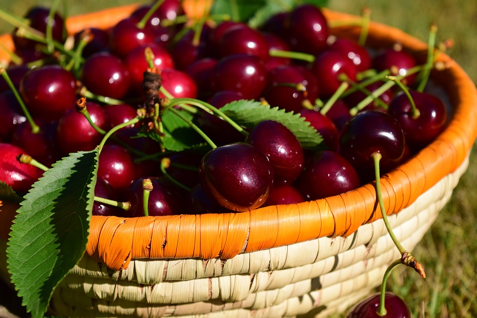 cherries